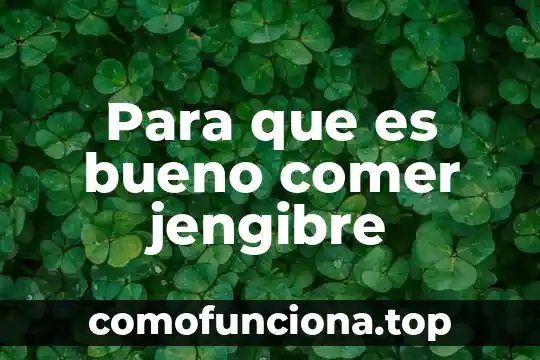 Jm mulet que es comer sano epub gratis 6 Para que es bueno comer jengibre
