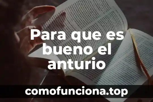 Para que es bueno la flor de cempasúchil 4 Para que es bueno el anturio