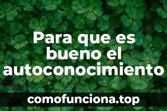 Que es lo bueno de la cultura tradicional 5 Para que es bueno el autoconocimiento