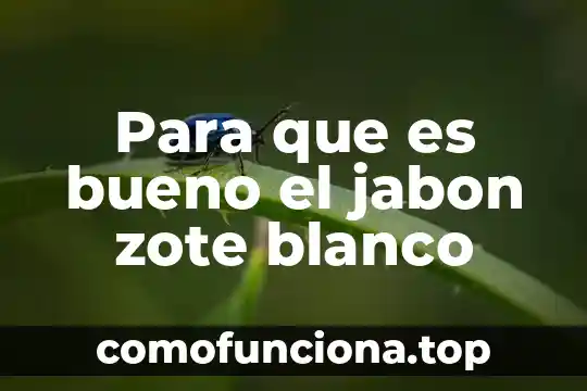 Que es lo blanco que le sale a la mujer 6 Para que es bueno el jabon zote blanco