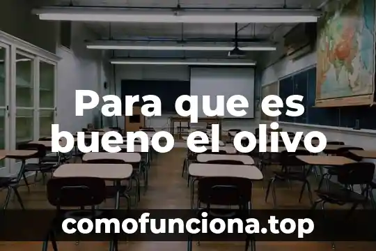 Para que es bueno la flor de cempasúchil 8 Para que es bueno el olivo