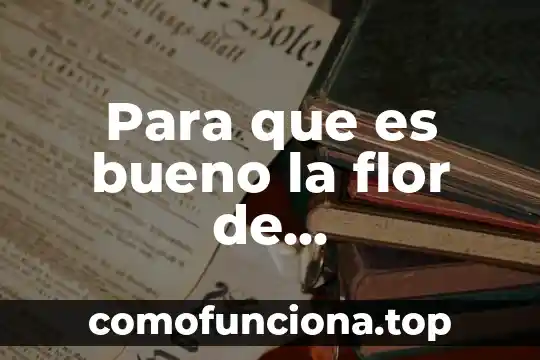 Por que es bueno el boxeo 6 Para que es bueno la flor de cempasúchil
