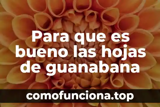Que es pulverizar las hojas de una planta 8 Para que es bueno las hojas de guanabana