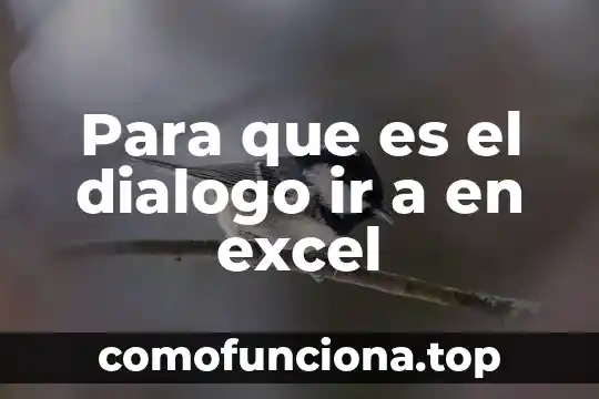 Qué es una VBA en Excel 7 Para que es el dialogo ir a en excel