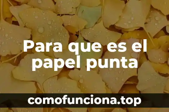 Punta minerva que es 8 Para que es el papel punta