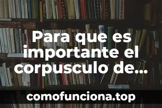 Por qué es importante ser una sociedad incluyente 6 Para que es importante el corpusculo de bar