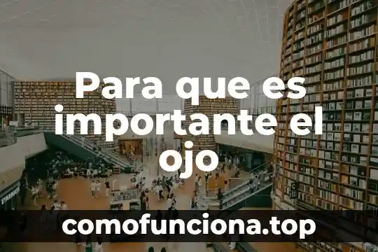 Por que es importante las necesidades fisiológicas 6 Para que es importante el ojo