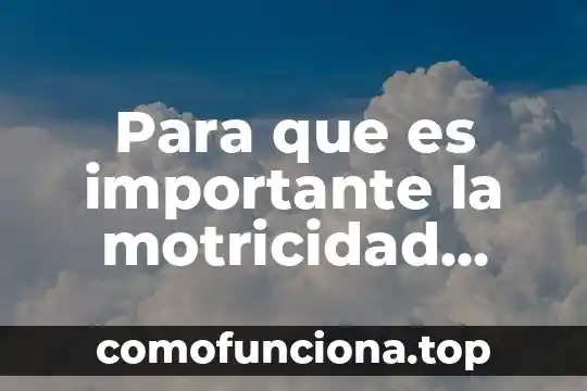 Qué es motricidad fina en educación física 7 Para que es importante la motricidad gruesa en los niños