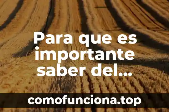 Por que es importante las necesidades fisiológicas 3 Para que es importante saber del bullying