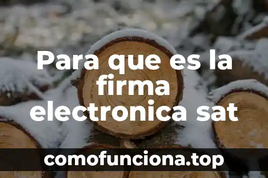 Que es armónicos en electronica 5 Para que es la firma electronica sat