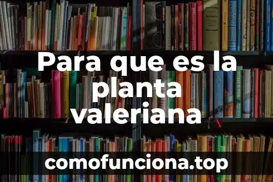 Softwares de cad que es 3 Para que es la planta valeriana