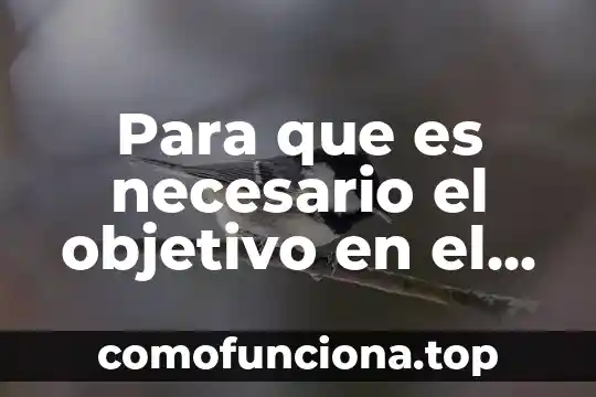 Que es el conocimiento popular cientifico segun santiago zorrilla 4 Para que es necesario el objetivo en el método científico