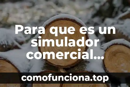 Qué es ingeniería económica según Eugenio Grant 6 Para que es un simulador comercial ingenieria
