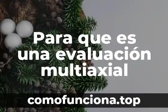 Que es evaluación del conocimiento en una competencia 6 Para que es una evaluación multiaxial