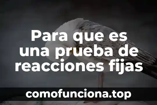 Tioeteres reacciones ejemplos que es el sh 5 Para que es una prueba de reacciones fijas