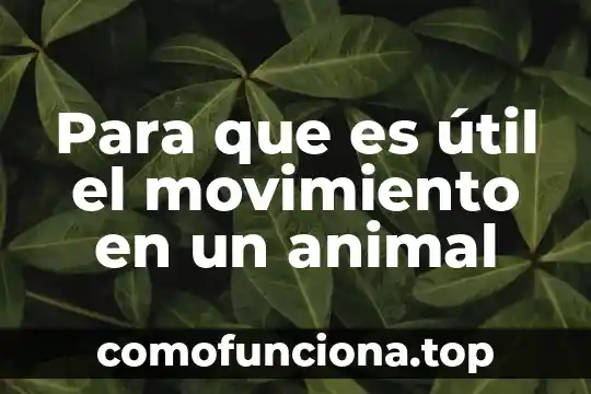Que es una oscilación completa del movimiento ondulatorio 3 Para que es útil el movimiento en un animal