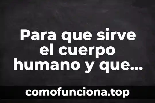 El ser humano saludable que es 7 Para que sirve el cuerpo humano y que es es