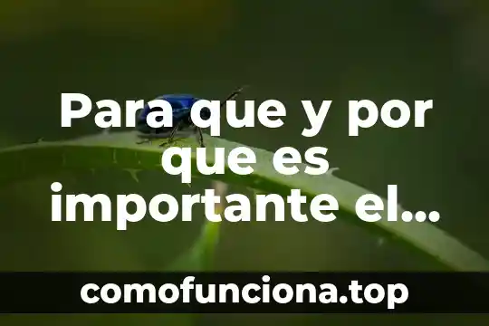 Por que es importante la lectura en la vida 5 Para que y por que es importante el activo circulante