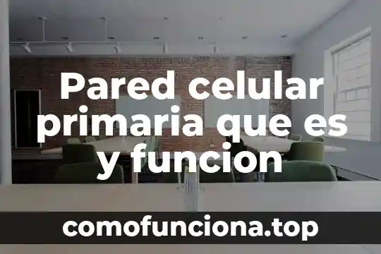 Tipos de carbohidratos función y qué es en producción animal 4 Pared celular primaria que es y funcion