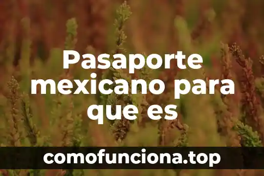 Que es ser mexicano para niños 6 Pasaporte mexicano para que es