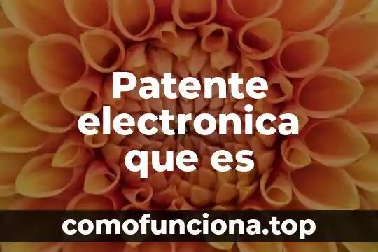 Para que es el documento patente 8 Patente electronica que es