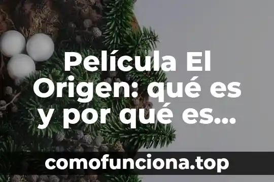 Que es ser bodrio 8 Película El Origen: qué es y por qué es relevante en la exploración del ser humano