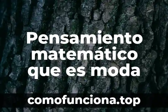 Qué es un espiral de durero matemático 4 Pensamiento matemático que es moda