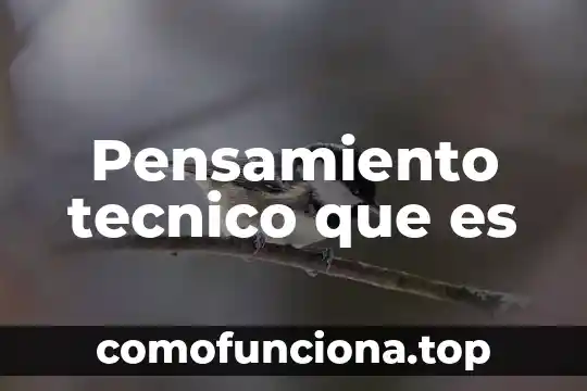 Conocimiento y pensamiento para que es importancia 6 Pensamiento tecnico que es