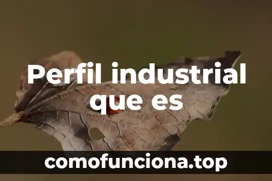 Que es un perfil web 3 Perfil industrial que es