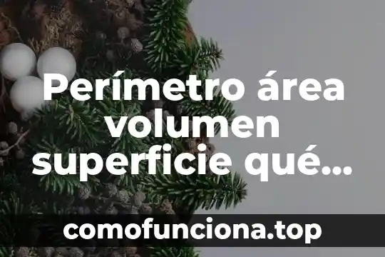 Ejemplo que es perimetro en una figura 4 Perímetro área volumen superficie qué es