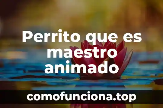 Que es un padre para un hijo animado 6 Perrito que es maestro animado