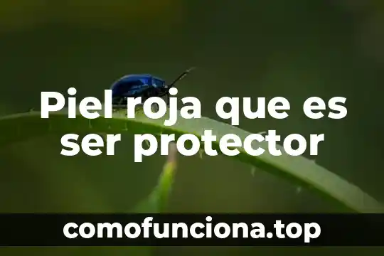 Que es bueno para la piel irritada por el frio 5 Piel roja que es ser protector
