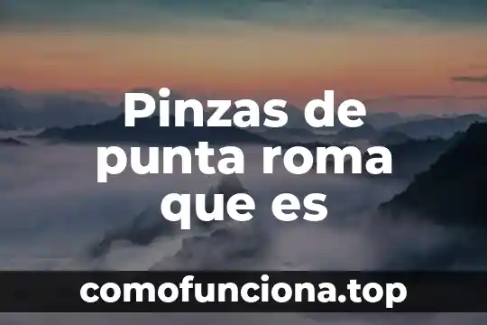 Para que es el papel punta 5 Pinzas de punta roma que es