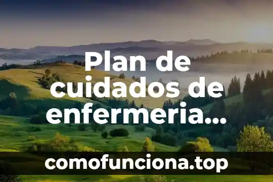 Cuidados de planta que es un palo 6 Plan de cuidados de enfermeria place que es