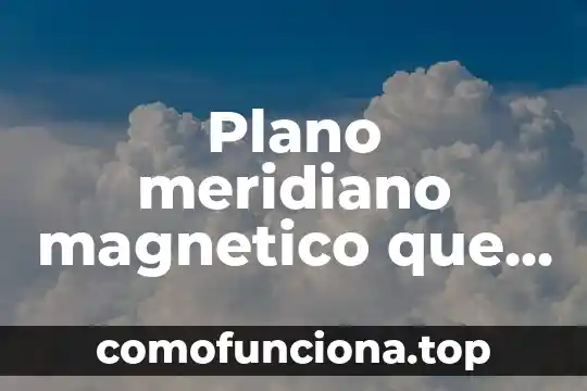 Qué es la firma dro y formato magnético 8 Plano meridiano magnetico que es