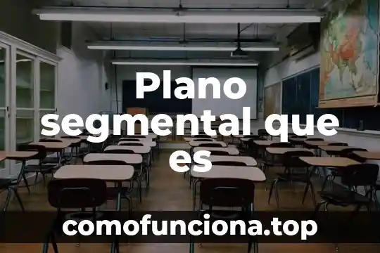 Que es condiloma plano 7 Plano segmental que es