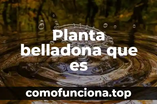 Ley de salud y alimentación que es 3 Planta belladona que es