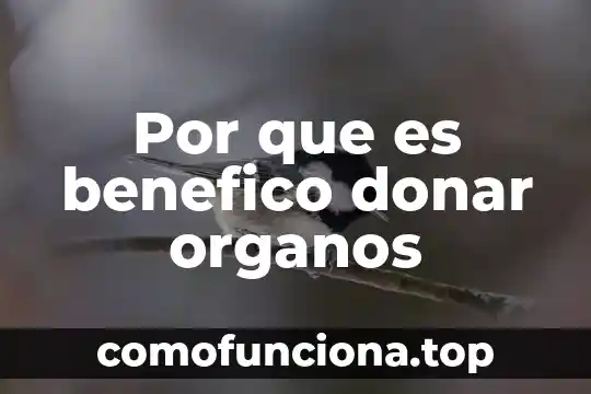 La cultura de la donación de órganos que es 6 Por que es benefico donar organos