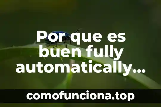 Que es dejar un buen legado 6 Por que es buen fully automatically device