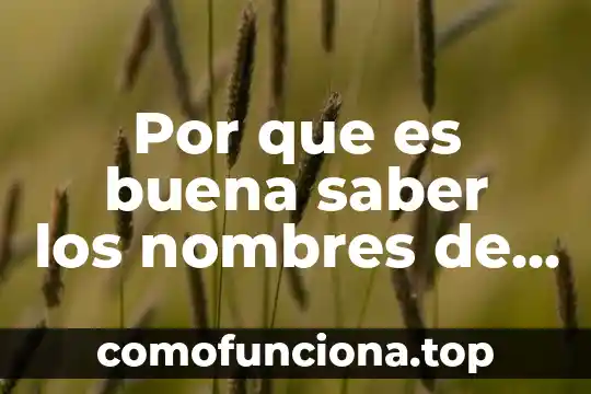 Que es un dodecaedro para niños 7 Por que es buena saber los nombres de los niños