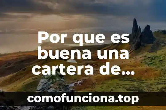 Para que es buena la flor de bugambilia 6 Por que es buena una cartera de inversión