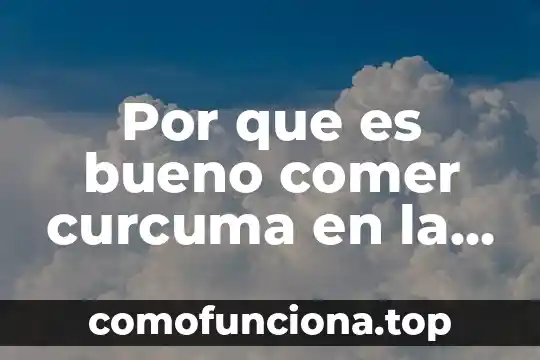 Jm mulet que es comer sano epub gratis 7 Por que es bueno comer curcuma en la menopausia