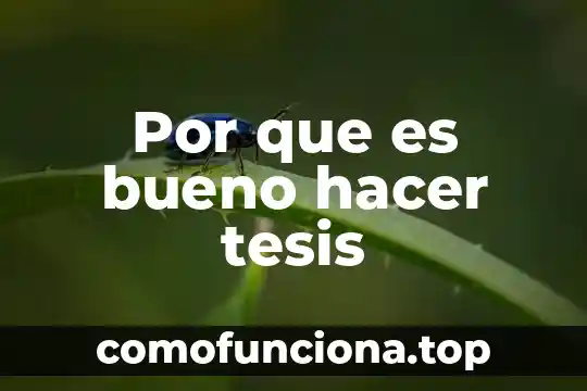 Histaacil para qué es bueno 6 Por que es bueno hacer tesis