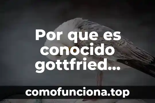 Otros nombres con los que es conocido la moringa 6 Por que es conocido gottfried wilhelm leibniz mapa conseptual