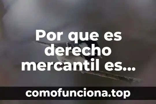 Qué es el derecho de propiedad definición 3 Por que es derecho mercantil es considerado derecho