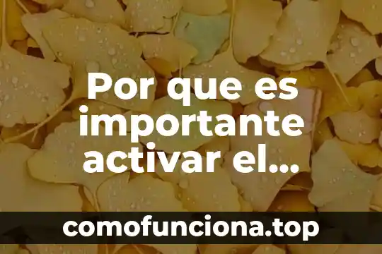 Que es activar el complemento en inmunologia 6 Por que es importante activar el firewall