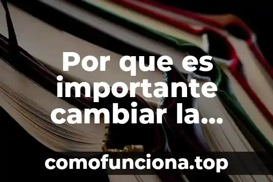 Por que es importante el pan artesanal 5 Por que es importante cambiar la constitución