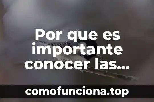 Que es conocer siglas 7 Por que es importante conocer las evaluaciones
