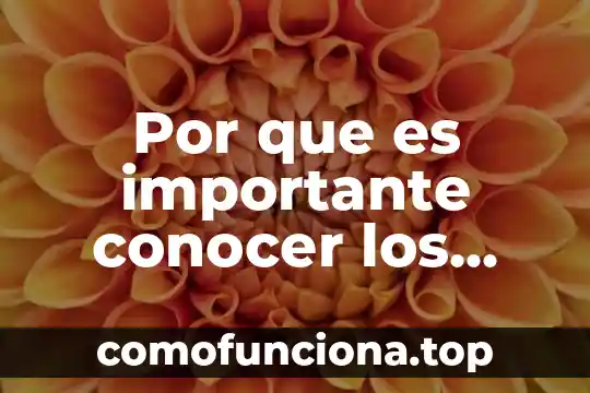 Motivos por los que es importante decir la verdad 5 Por que es importante conocer los procesos en windows