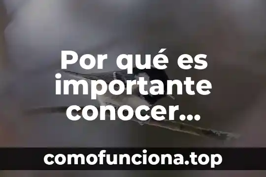 Que es conocer siglas 3 Por qué es importante conocer nuestros derechos como trabajadores